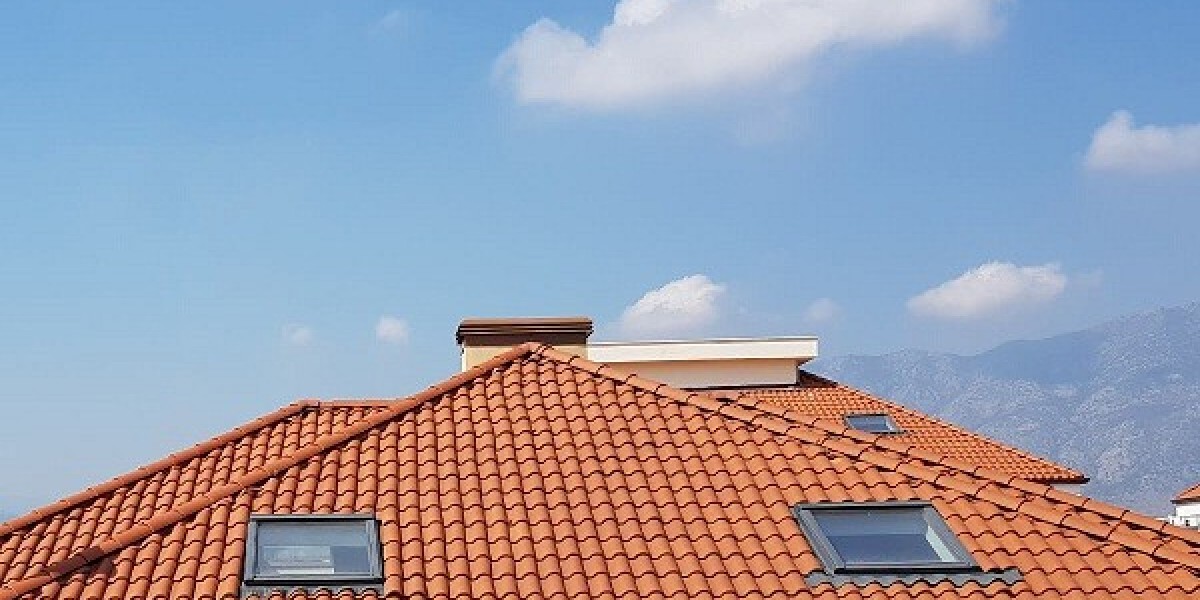 Teras Çatı Penceresi
