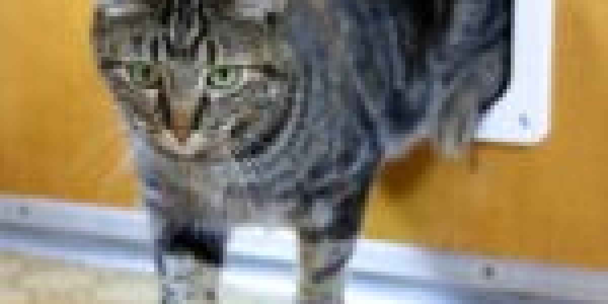 Trusted Cat Flap Installer: 11 Things That You're Failing To Do